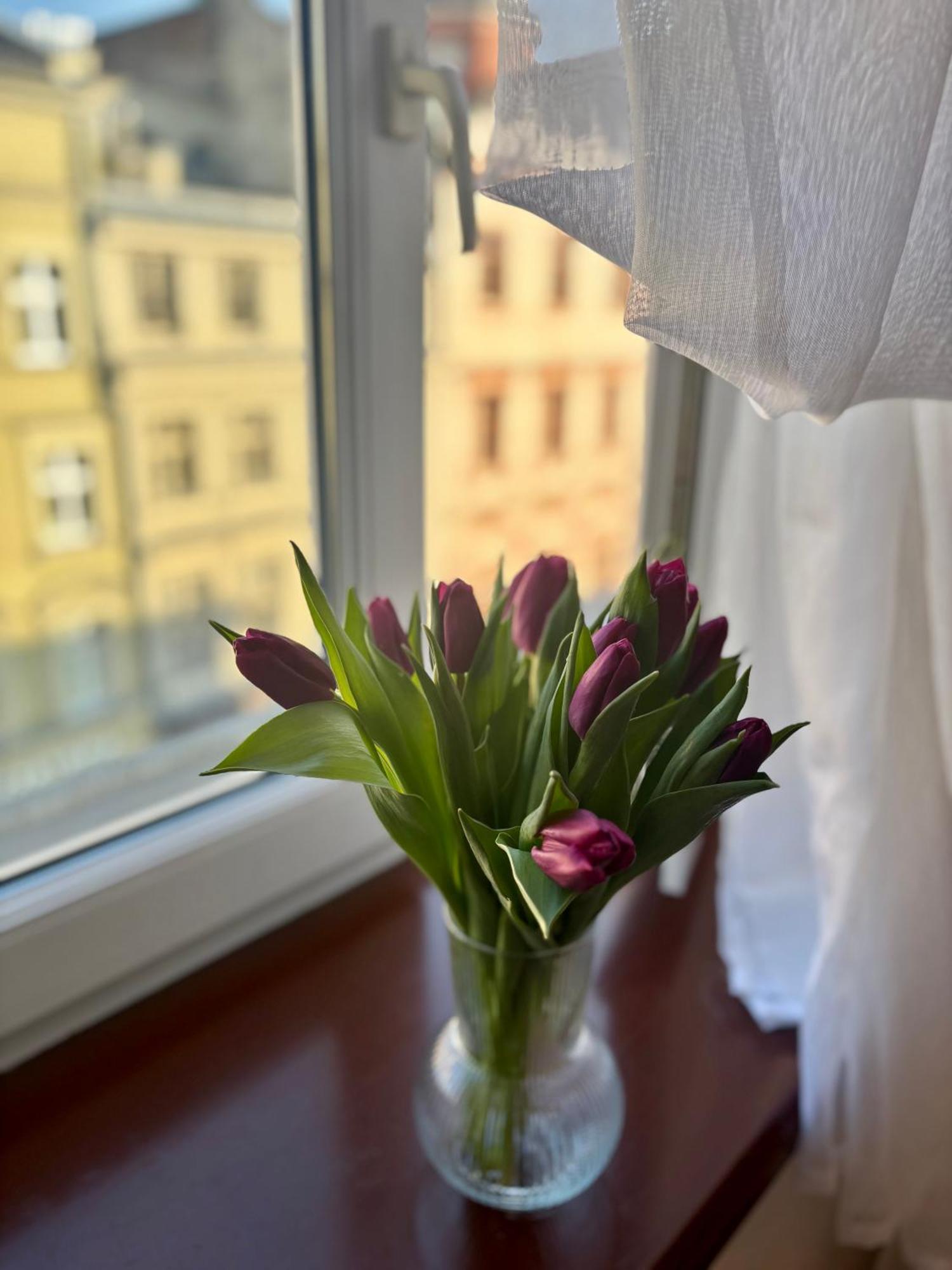 Vintage Senacka 9/7 Apartment Краків Екстер'єр фото